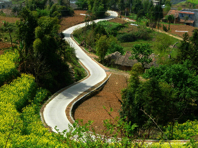 2019年万州区‘四好农村路’通组公路建设项目弹子小龙路新修硬化工程